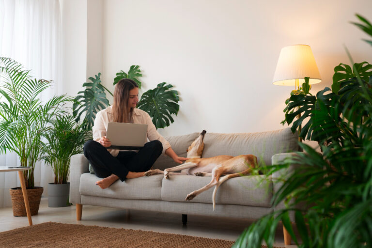 planta de casas